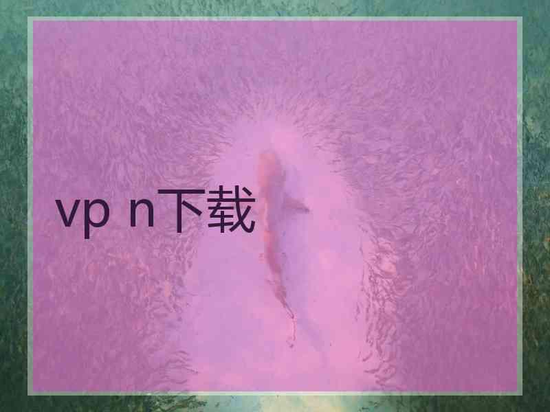 vp n下载