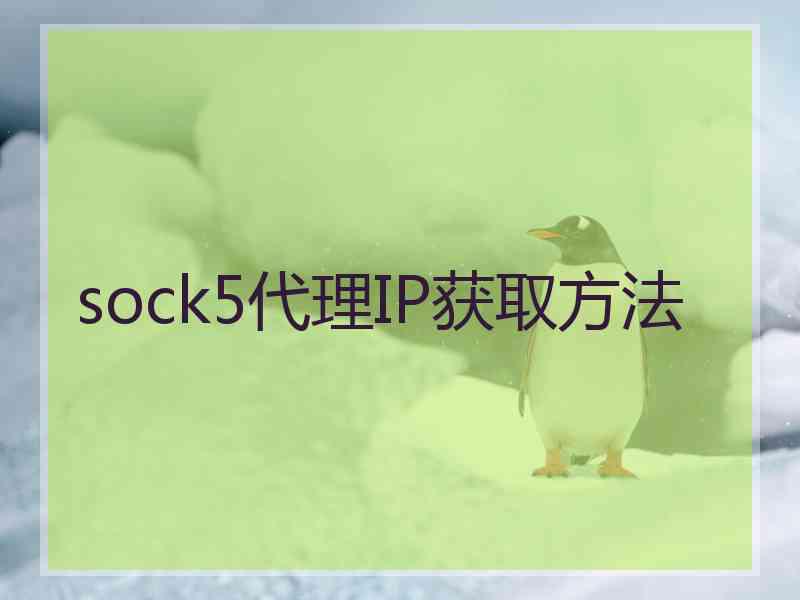 sock5代理IP获取方法