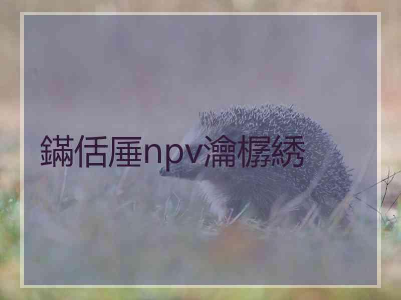 鏋佸厜npv瀹樼綉