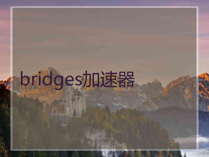 bridges加速器