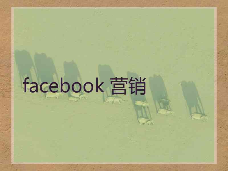 facebook 营销