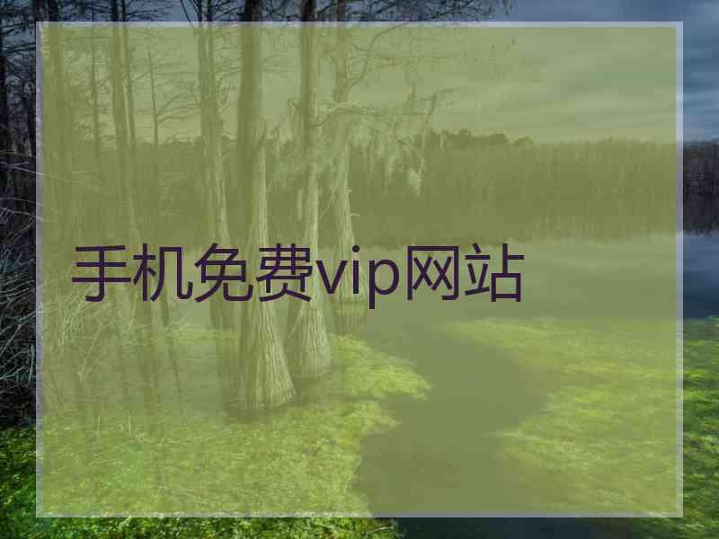 手机免费vip网站