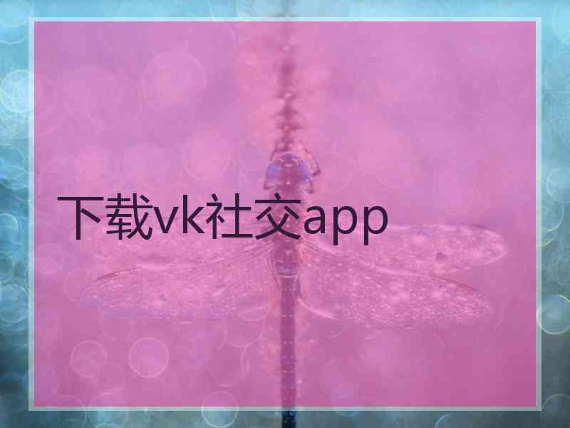 下载vk社交app