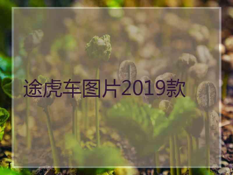 途虎车图片2019款