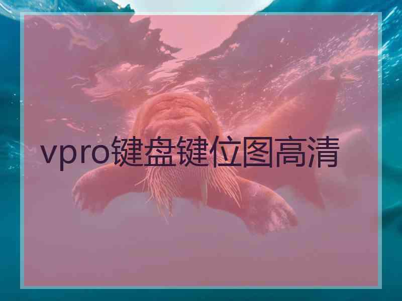 vpro键盘键位图高清