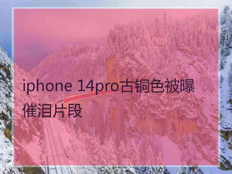 iphone 14pro古铜色被曝催泪片段