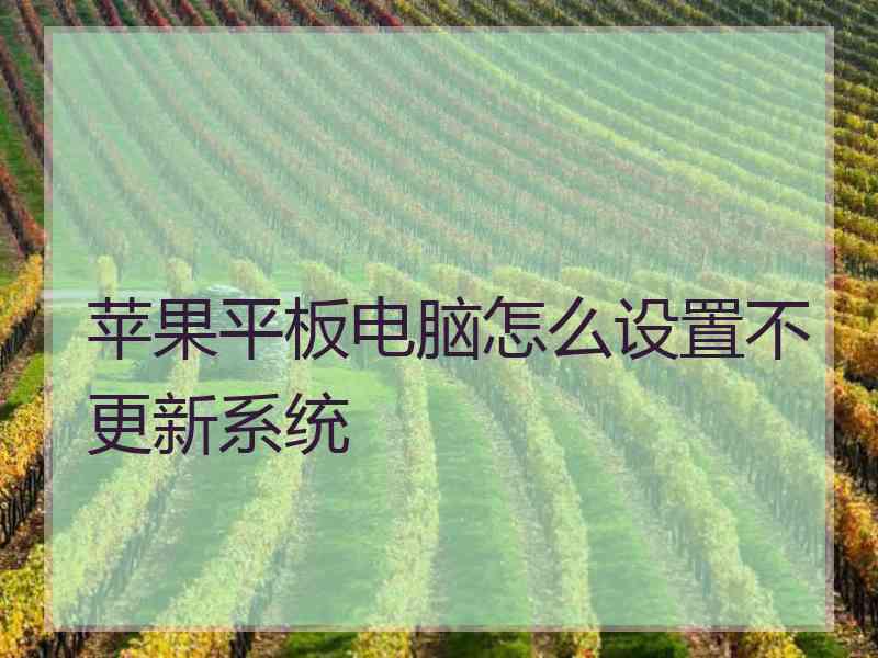 苹果平板电脑怎么设置不更新系统