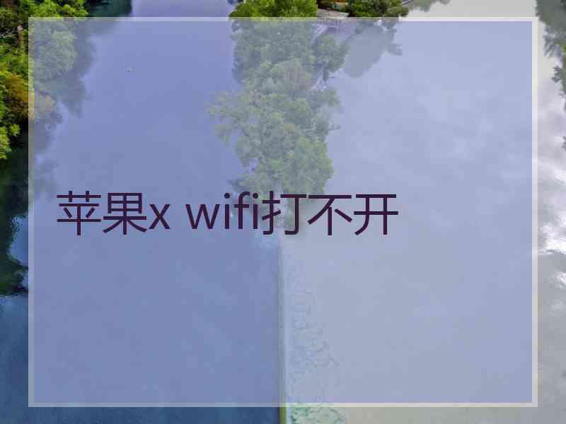 苹果x wifi打不开