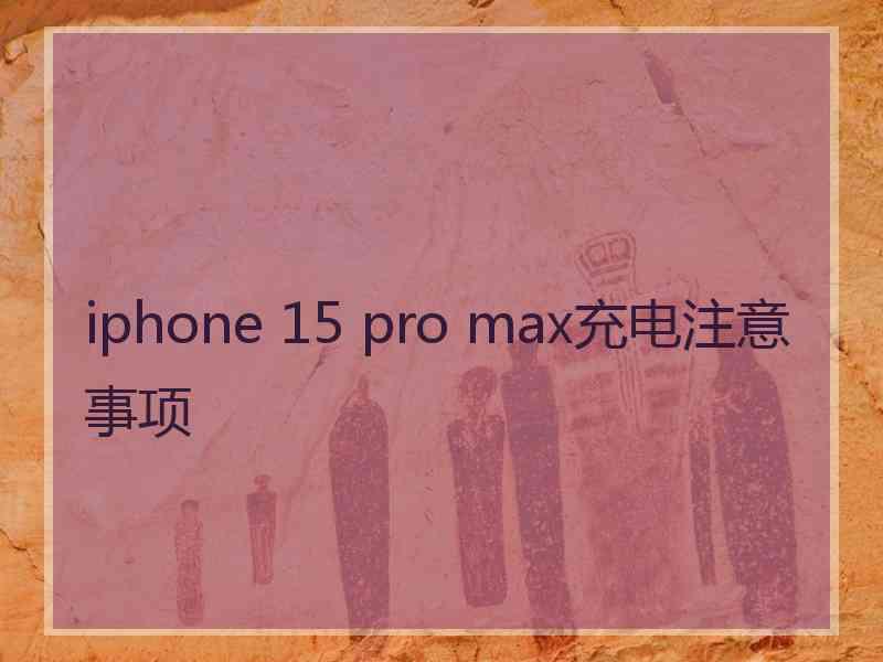 iphone 15 pro max充电注意事项