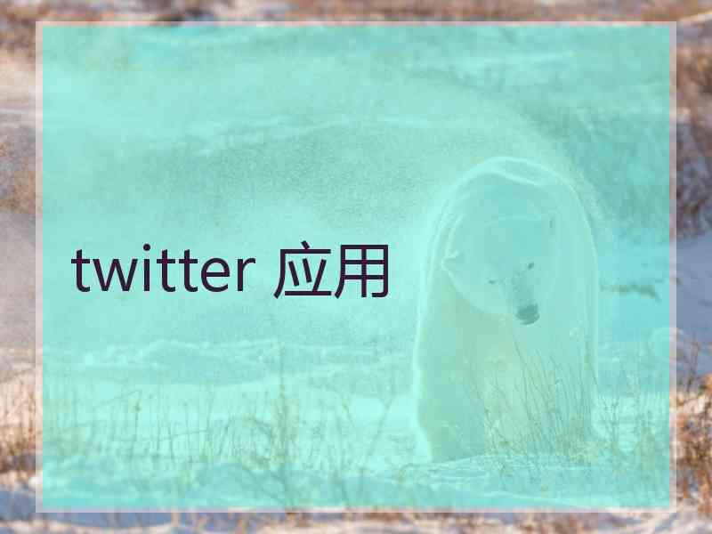 twitter 应用