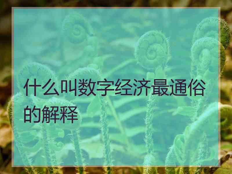 什么叫数字经济最通俗的解释