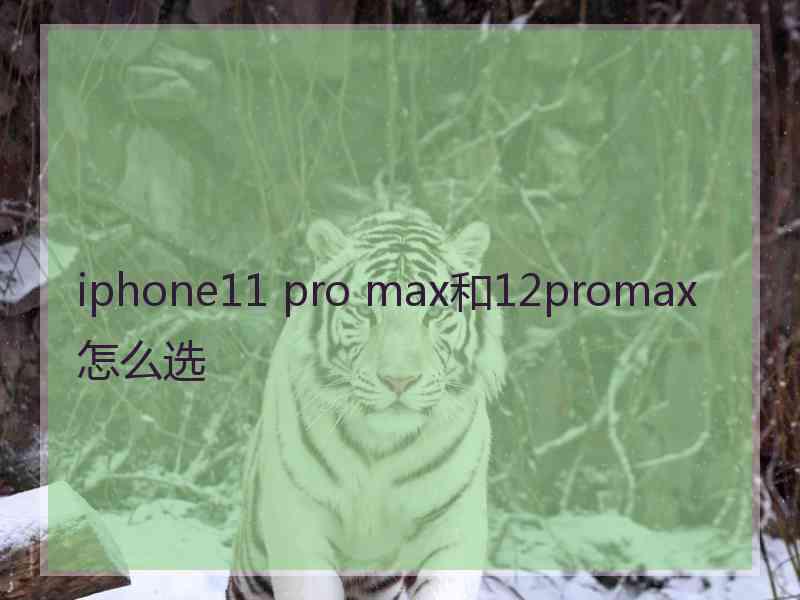 iphone11 pro max和12promax怎么选