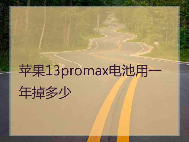 苹果13promax电池用一年掉多少