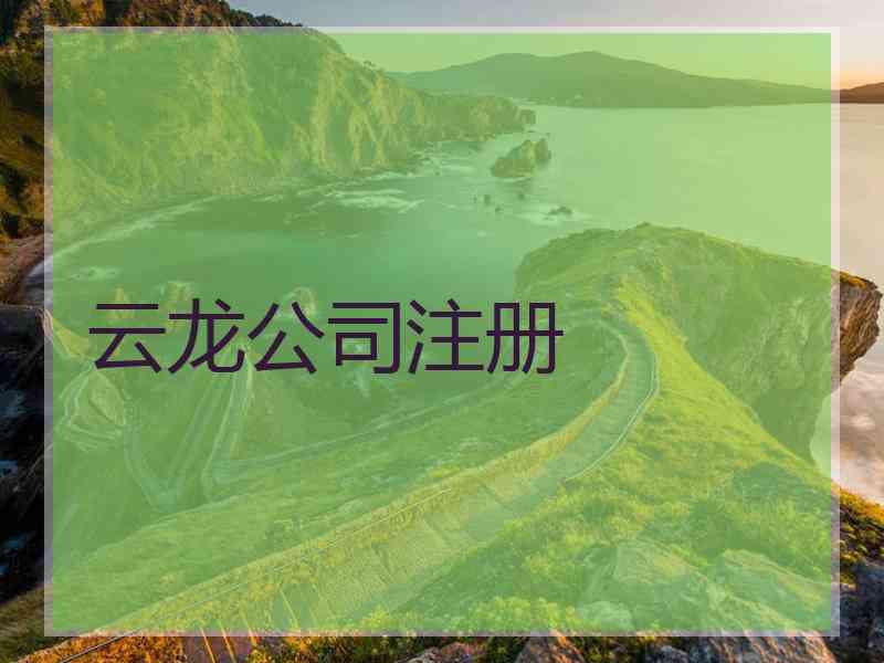 云龙公司注册