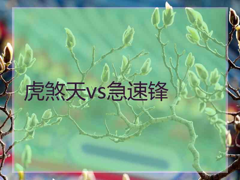 虎煞天vs急速锋