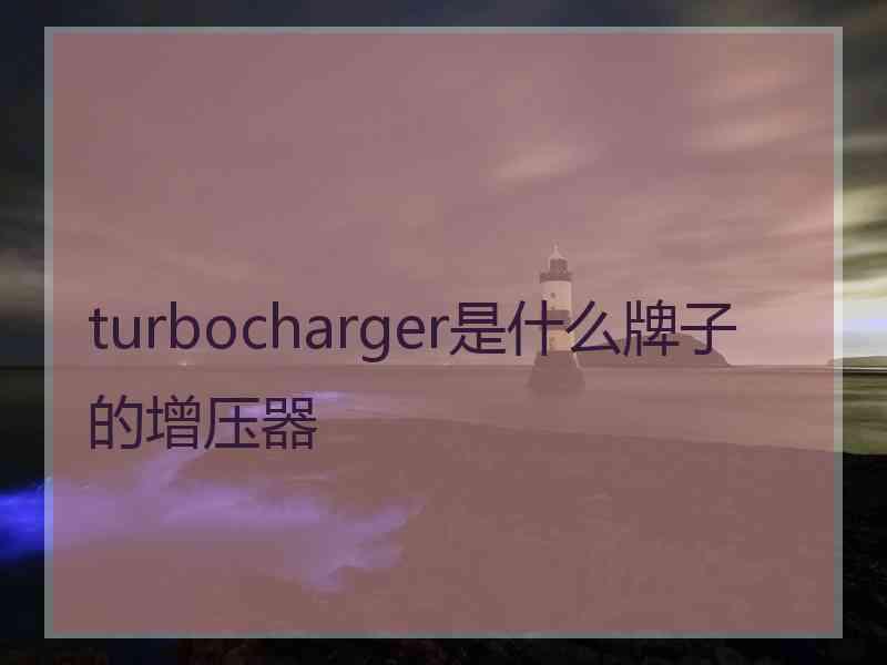 turbocharger是什么牌子的增压器