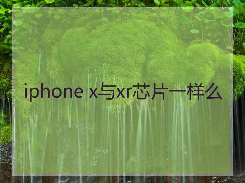 iphone x与xr芯片一样么