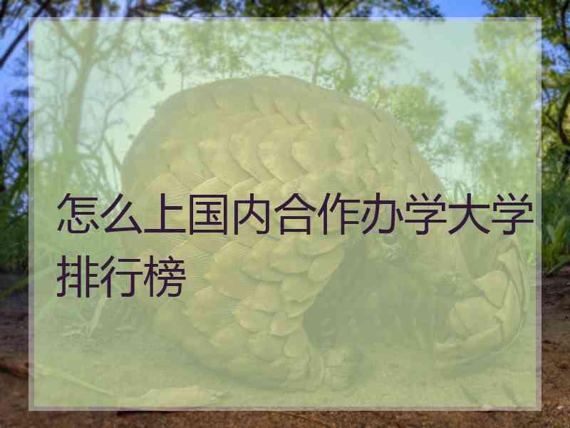 怎么上国内合作办学大学排行榜