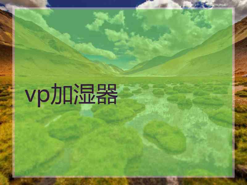 vp加湿器