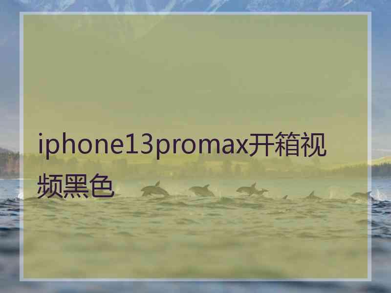 iphone13promax开箱视频黑色