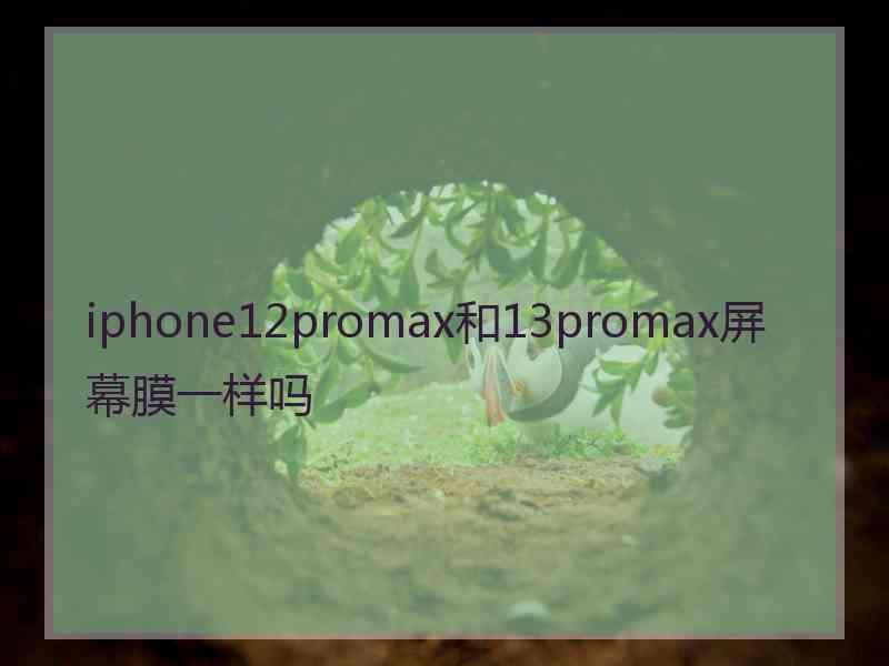 iphone12promax和13promax屏幕膜一样吗