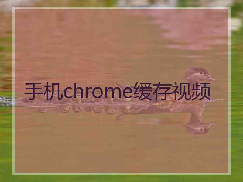 手机chrome缓存视频