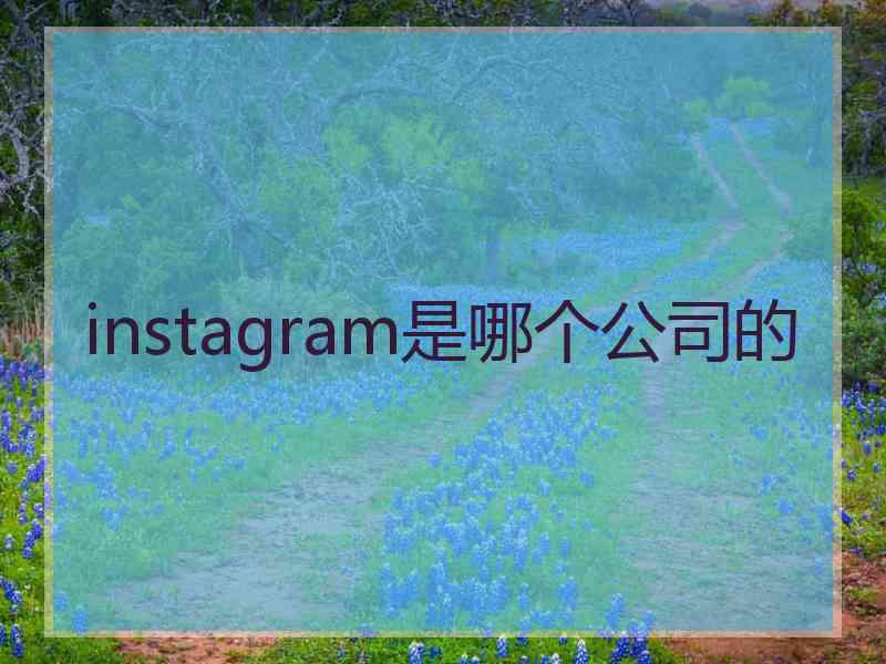 instagram是哪个公司的