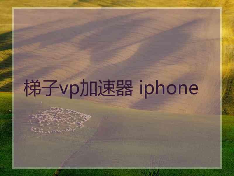 梯子vp加速器 iphone