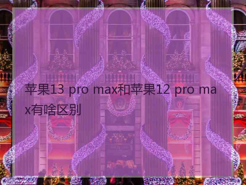 苹果13 pro max和苹果12 pro max有啥区别