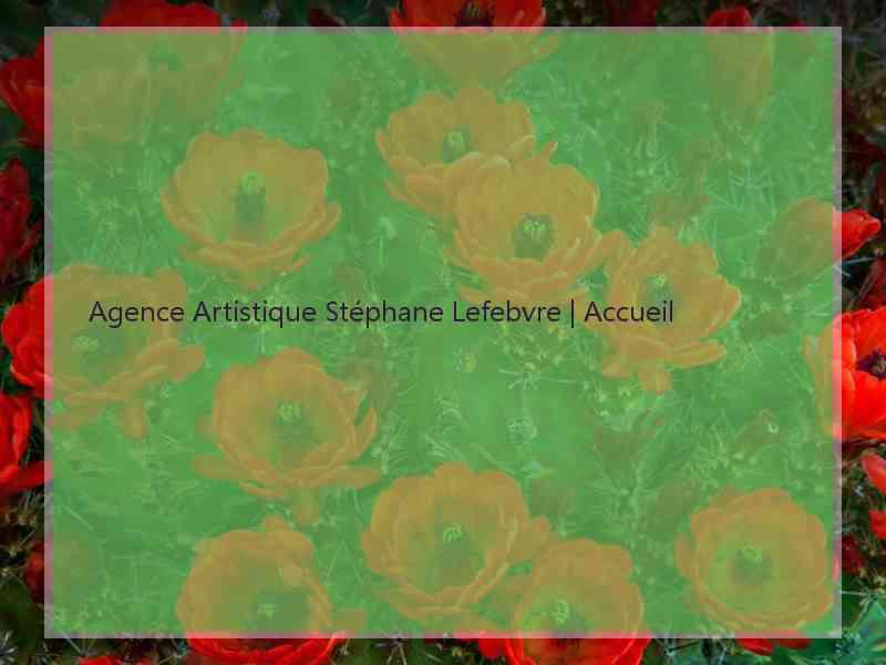 Agence Artistique Stéphane Lefebvre | Accueil