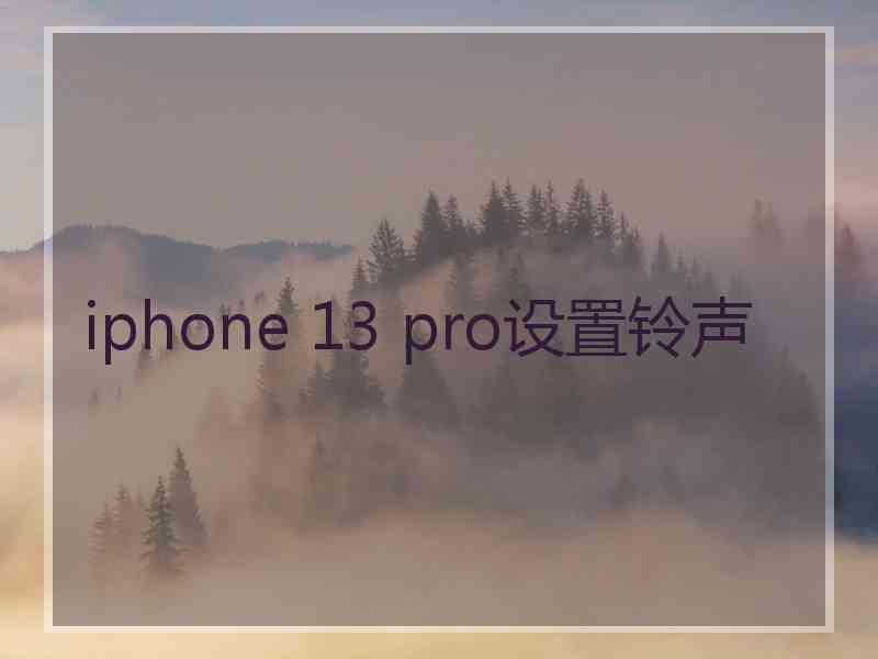 iphone 13 pro设置铃声