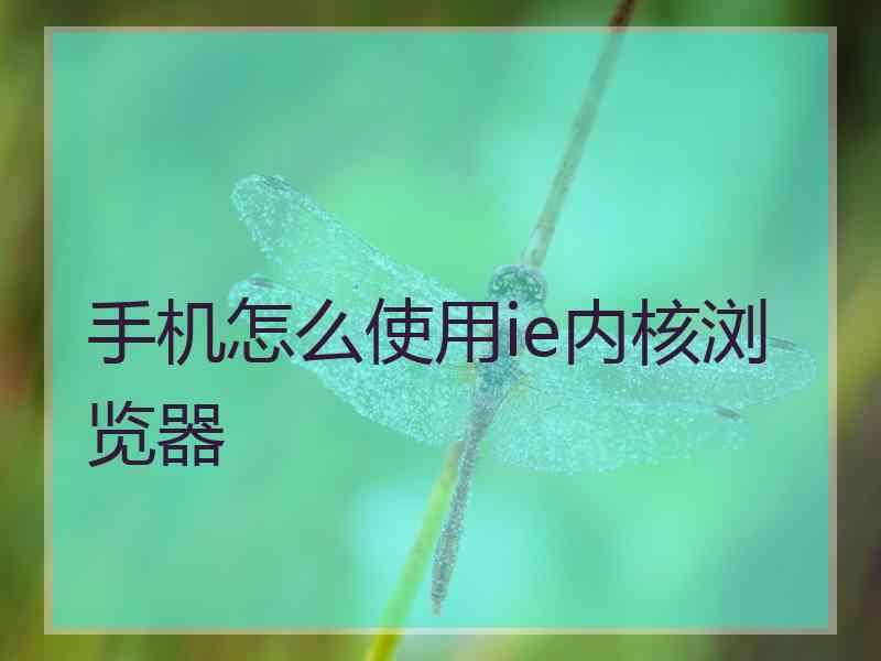 手机怎么使用ie内核浏览器