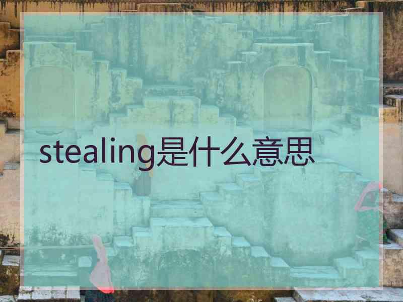 stealing是什么意思