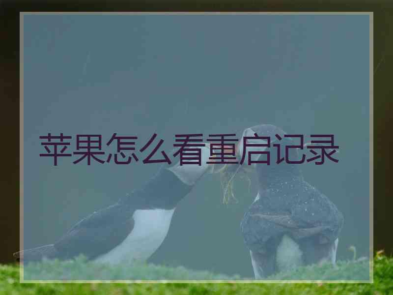 苹果怎么看重启记录