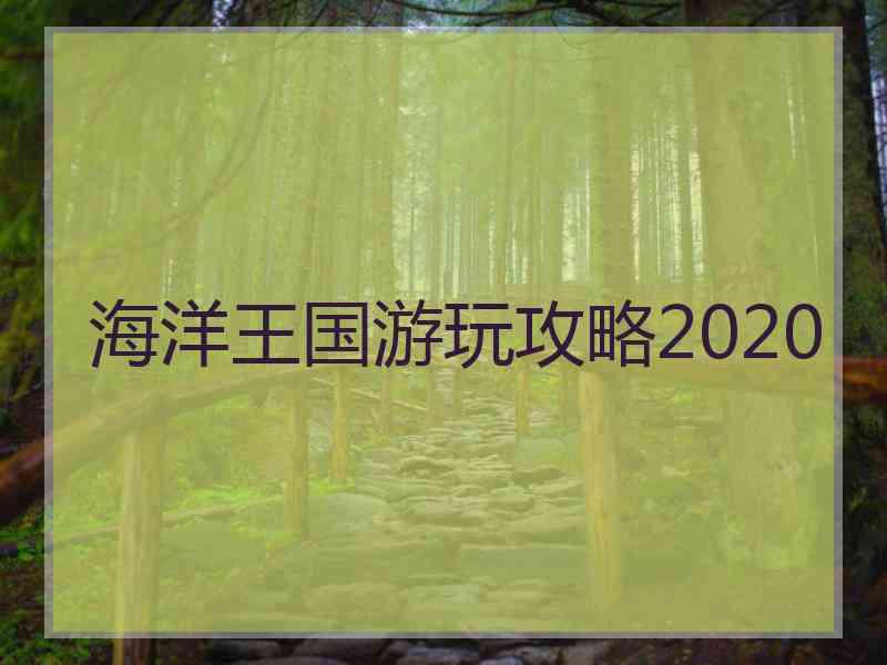 海洋王国游玩攻略2020