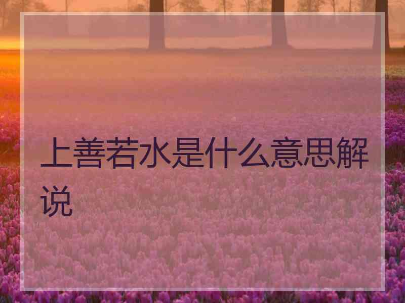 上善若水是什么意思解说