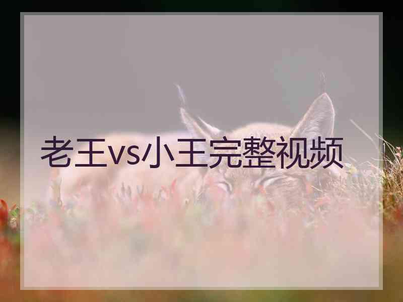 老王vs小王完整视频