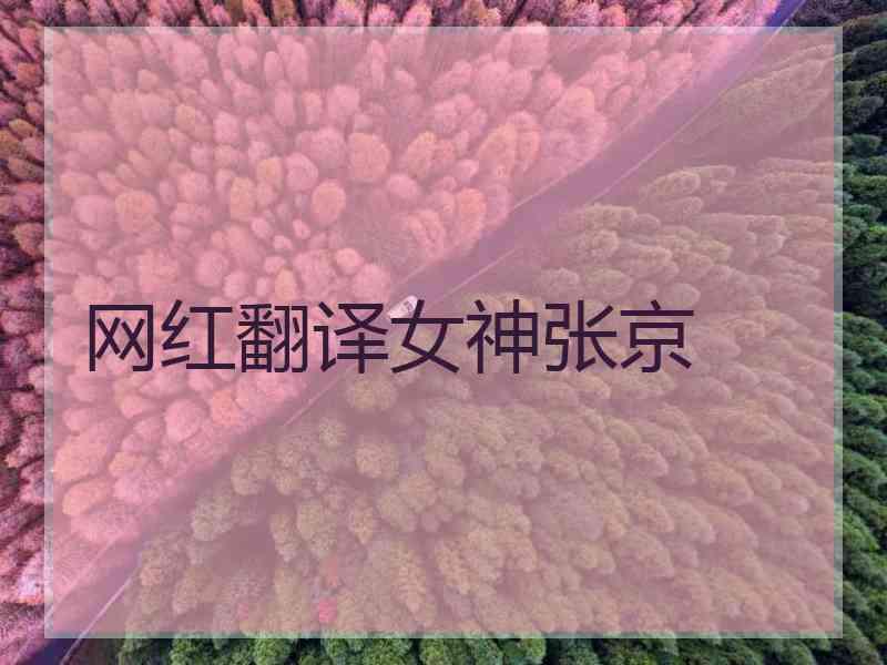 网红翻译女神张京