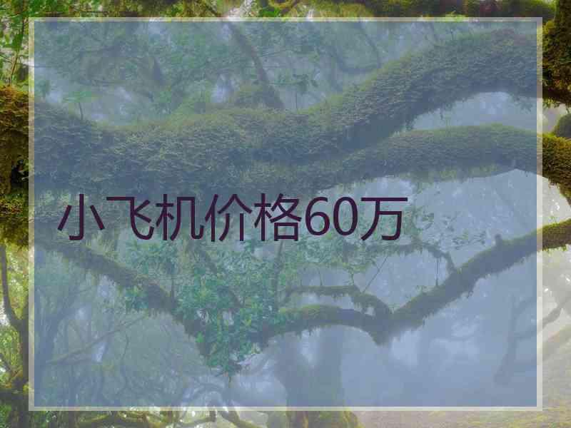 小飞机价格60万