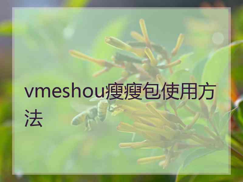 vmeshou瘦瘦包使用方法