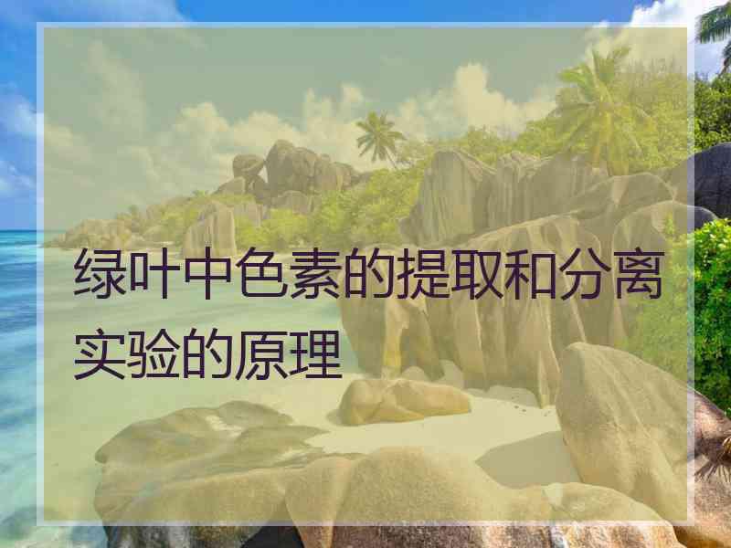 绿叶中色素的提取和分离实验的原理