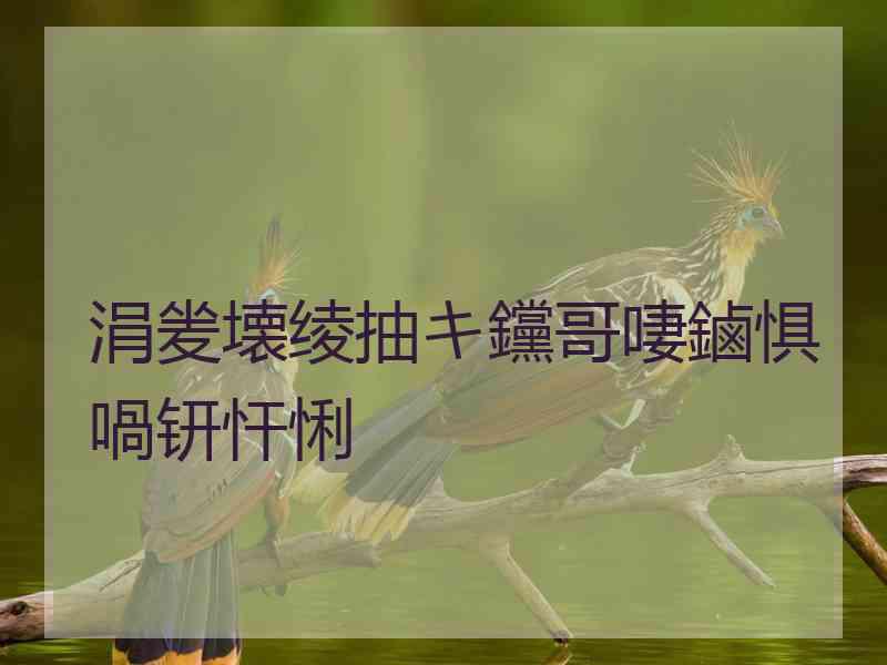 涓夎壊绫抽キ钂哥啛鏀惧喎钘忓悧