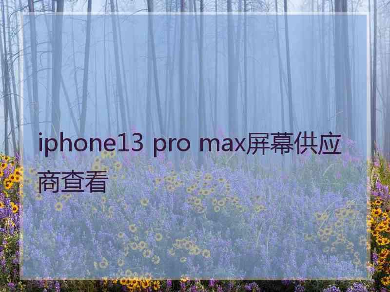 iphone13 pro max屏幕供应商查看