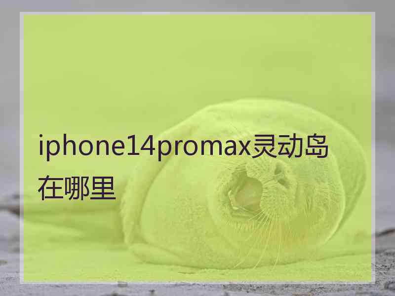 iphone14promax灵动岛在哪里