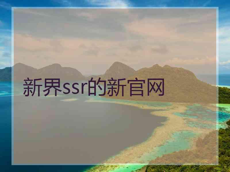 新界ssr的新官网