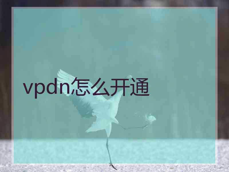 vpdn怎么开通