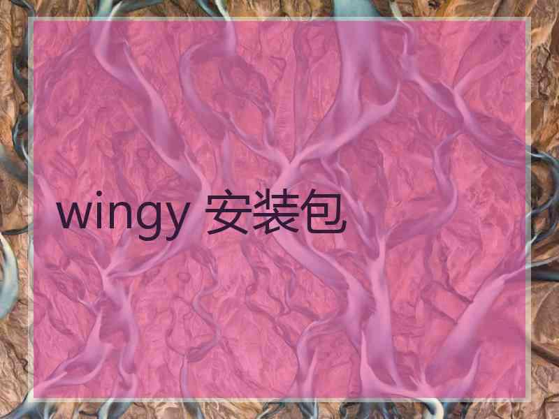 wingy 安装包