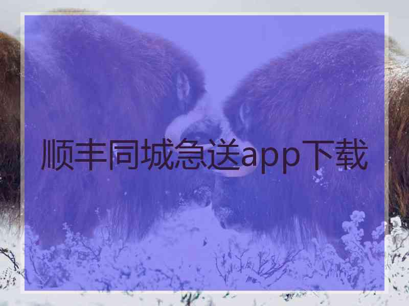 顺丰同城急送app下载