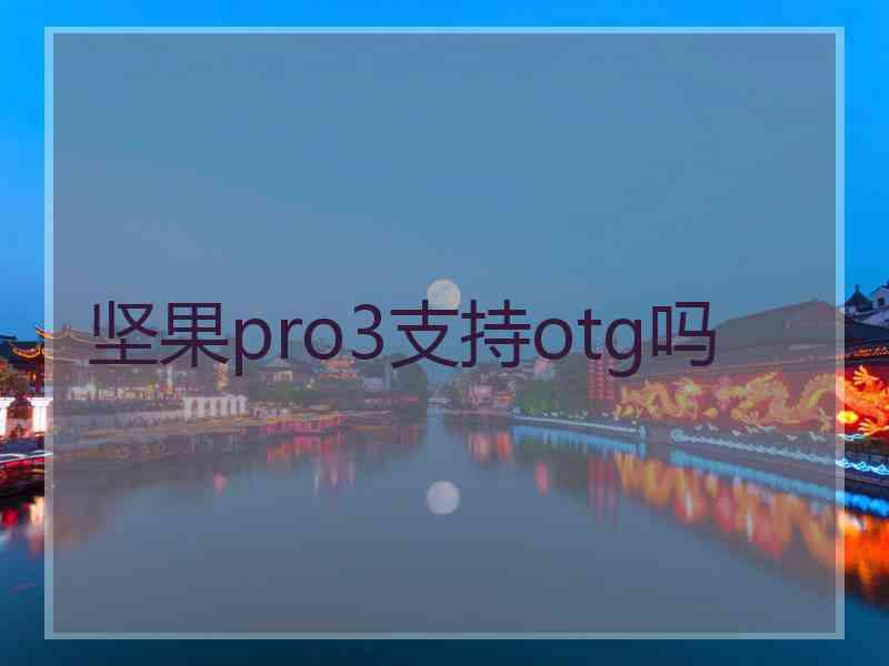 坚果pro3支持otg吗