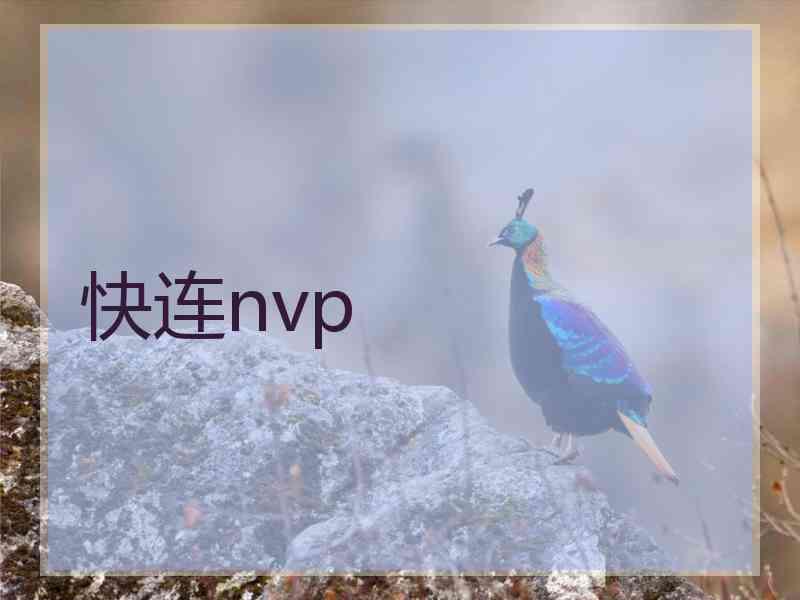 快连nvp